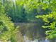 Picturesque pond surrounded by trees offers a tranquil setting at 526 Bob Rainey Trl, Burlington, NC 27217