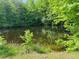 View of pond surrounded by lush green trees and vegetation at 526 Bob Rainey Trl, Burlington, NC 27217