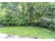 Wide shot of backyard showing grassy area, green shrubbery, and wooden fence line at 1112 Newberry Dr, Mebane, NC 27302