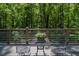 Cozy outdoor deck area with a table and chairs perfect for relaxation at 123 Becket Bend Bnd, Pittsboro, NC 27312