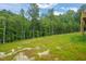 Spacious backyard with grassy area surrounded by lush green trees at 156 Harmony Trl, Broadway, NC 27505