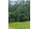 Peaceful view of pond surrounded by lush trees at 2661 Bowden Dr, Creedmoor, NC 27522