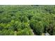 An aerial photograph showcasing an abundance of verdant trees, giving the landscape a rich and flourishing appearance at 1006 Oxford Ridge Rd, Wake Forest, NC 27587