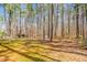 Secluded backyard surrounded by tall trees, providing a serene and private outdoor space at 1101 Dimmocks Mill Rd, Hillsborough, NC 27278
