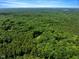 Overhead view showcasing property location within a vibrant forest setting at 224 Oakcrest Dr, Wake Forest, NC 27587