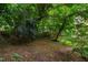 View of the backyard showing a grassy area with trees and foliage at 244 Sweet Bay Pl, Carrboro, NC 27510