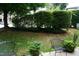 Green backyard with trimmed hedges at 4810 Glenmist Ct, Raleigh, NC 27612
