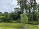 Lush green backyard featuring a small weeping willow tree, surrounded by a thick forest, and providing privacy at 656 Barneswyck Dr, Fuquay Varina, NC 27526