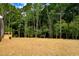 Large backyard with newly installed sod, ready for outdoor activities and landscaping at 80 Birchtop Cir, Zebulon, NC 27597