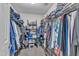 Walk-in closet with extensive shelving and hanging space for organized storage at 115 E Seve Ct, Morrisville, NC 27560