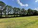 Large green backyard surrounded by beautiful green trees at 140 Oakfield Trace Dr, Four Oaks, NC 27524