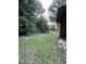 Overgrown backyard with trees and a chainlink fence at the back of the property at 1521 Lewis St, Rocky Mount, NC 27804