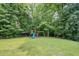 This backyard features a playground, perfect for children to play at 7336 Capulin Crest Dr, Apex, NC 27539
