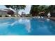 Sparkling pool showcasing clear blue water, surrounded by lush landscaping, umbrellas, and lounge chairs at 2201 W Cornwallis Rd # 2B-21, Durham, NC 27705