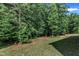 Backyard featuring a lush green lawn, mature trees, and privacy at 267 Ashley Woods Ct, Clayton, NC 27527