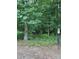 Land surrounding property with mature trees and space for outdoor enjoyment at 267 Ashley Woods Ct, Clayton, NC 27527