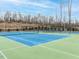 Bright blue tennis courts with light green surroundings, complemented by a backdrop of trees and sky at 287 Aspen Ave, Pittsboro, NC 27312