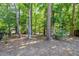 Lush backyard surrounded by tall trees, providing shade and privacy. Ideal for outdoor enjoyment at 100 Honeysuckle Ln, Cary, NC 27513