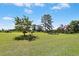 A expansive lot with well-maintained lawn and landscaping at 1035 Aquilla Rd, Benson, NC 27524
