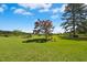 An extensive and lush green lawn dotted with landscaping, trees, and a shed at 1035 Aquilla Rd, Benson, NC 27524