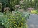 A lush assortment of wildflowers in a garden setting at 139 Trillium Pl, Chapel Hill, NC 27517