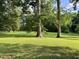 Beautiful green lawn with mature hardwood trees, a parklike setting at 1846 Hammond St, Rocky Mount, NC 27803