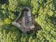 Expansive estate with lush, mature trees and a private circular driveway at 2207 Vintage Hill Dr, Durham, NC 27712