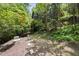 Lush backyard with mature trees and a natural pathway leading to the home at 2306 Damascus Church Rd, Chapel Hill, NC 27516