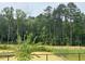 Scenic backyard view with lush greenery and mature trees, offering a private and serene outdoor space at 508 Yeowell Dr, Chapel Hill, NC 27514