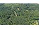 Aerial view of a densely wooded area featuring scattered clearings and a home at 7849 Circle L Trl, Rougemont, NC 27572