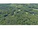 Overhead view of lush, dense forest at 7849 Circle L Trl, Rougemont, NC 27572
