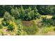 A picturesque, tree-lined pond with natural vegetation creates a serene landscape at 7849 Circle L Trl, Rougemont, NC 27572