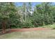 Backyard featuring lush greenery, trees, and pine straw ground cover at 113 Market Cross Ct, Holly Springs, NC 27540
