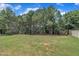 Lush green backyard with tall mature trees, a well-maintained lawn, and a fence in the distance at 119 Blossom Creek Dr, Garner, NC 27529