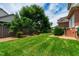 Spacious backyard with healthy green grass, trees, and privacy fence at 1831 Middlebrook Dr, Raleigh, NC 27615