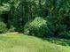 Lush backyard with green grass, mature trees and plenty of shady spots at 230 Paula Dr, Angier, NC 27501