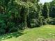 Lush backyard with green grass, mature trees and plenty of shady spots at 230 Paula Dr, Angier, NC 27501