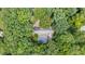 Aerial view of the house and pool nestled among mature trees and lush landscaping at 2382 Council Rd, Graham, NC 27253