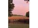 Backyard with a scenic view of a golden field at sunset, framed by mature trees and a fence at 3901 Yates Mill Trl, Raleigh, NC 27606