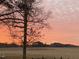 Vibrant sunrise over an open field, showcasing a colorful sky and the silhouettes of distant trees at 3901 Yates Mill Trl, Raleigh, NC 27606