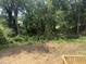 View of the wooded area in the backyard from the new wooden deck at 4035 King Charles Rd, Durham, NC 27707