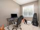An office space with gray walls, a computer desk and chair, and a window at 642 Pinevalley Ln, Sanford, NC 27332