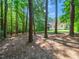Picturesque backyard surrounded by mature trees offering shade and privacy at 65 Shorrey Pl, Youngsville, NC 27596