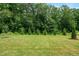 Backyard with lush green grass and a tree line at 7117 Crested Iris Pl, Durham, NC 27703