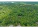 Aerial view of a home surrounded by lush green trees and a beautiful landscape at 1317 Woodgate Manor Ct, Raleigh, NC 27614
