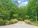 Long driveway surrounded by lush greenery and mature trees at 1317 Woodgate Manor Ct, Raleigh, NC 27614