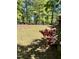 Lush backyard with a wooden fence line, a deck, and blooming azaleas at 2237 Keith Hills Rd, Lillington, NC 27546