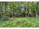 Lush backyard with mature trees, providing a serene and private outdoor space at 2324 Dahlgreen Rd, Raleigh, NC 27615