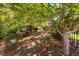 Beautiful backyard featuring a walking path behind the home with lush trees, a shady path and black metal fence at 323 Rosedale Creek Dr, Durham, NC 27703