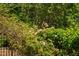 Lush garden featuring flowering shrubs and bushes near a black metal fence at 323 Rosedale Creek Dr, Durham, NC 27703